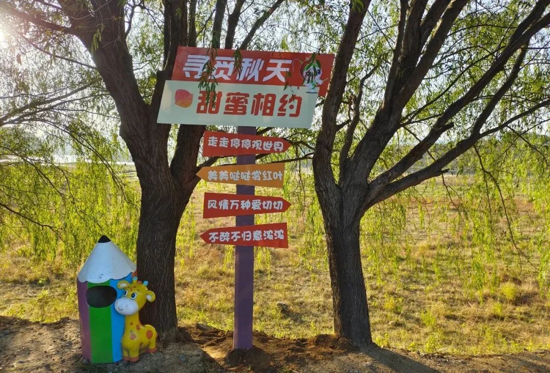 大别山国际红叶节